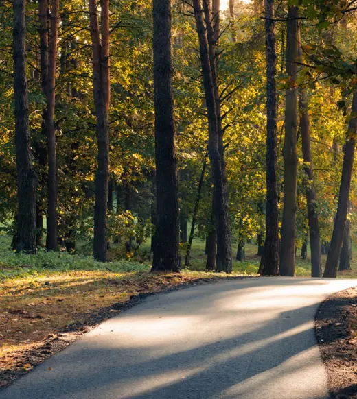 3 strategic considerations for asset managers